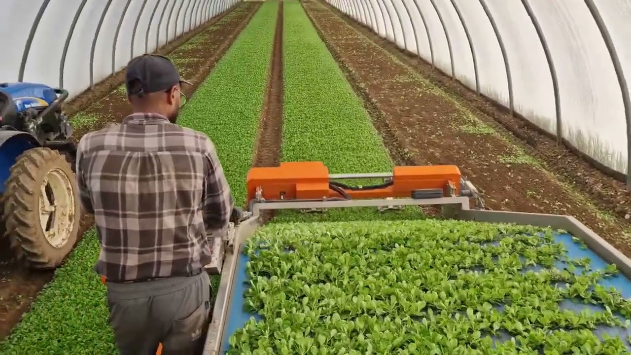 8400 New Herbex | Ortomec