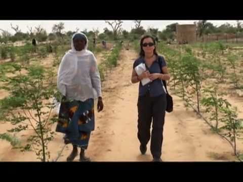 Meeting Food Needs - Solutions from Africa