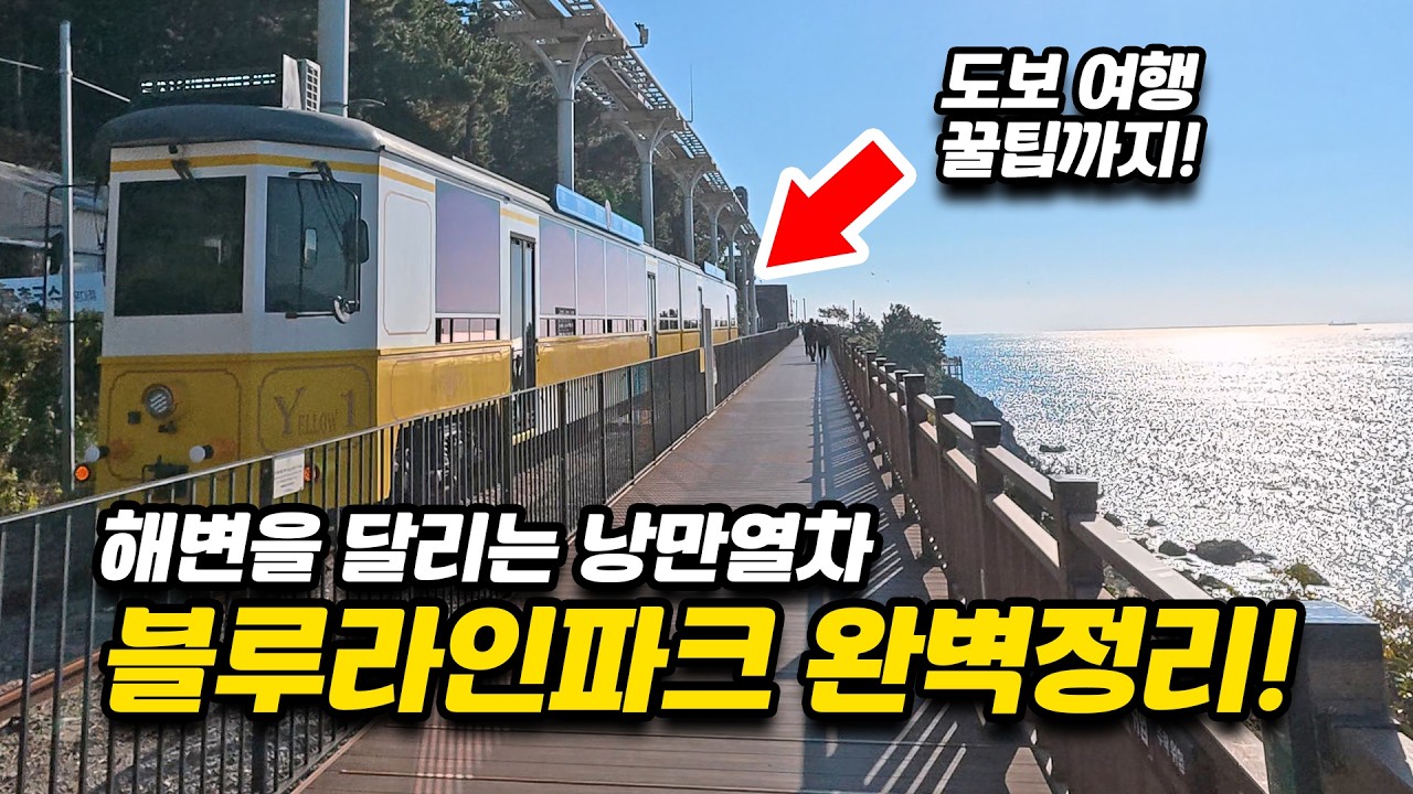 부산 당일치기 필수 여행코스! | 해운대 블루라인 해변열차, 스카이캡슐 정보 꿀팁 | 초보자를 위한 추천 코스