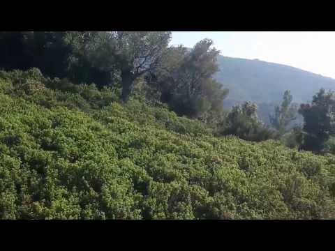 Skopelos Land