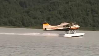 Flightseeing and Bear Viewing on Wolverine Creek with High Adventure Air out of Soldatna, ...