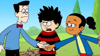 Let's Work Together! | Funny Episodes | Dennis and Gnasher