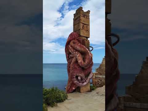 شاهد حجم اكبر حبار البحر