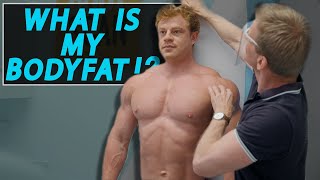 Celebrity Revealing My TRUE Bodyfat % | DEXA Scan Results!! Wealth
