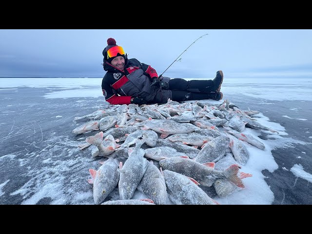Окуневый БЕСПРЕДЕЛ! МЕГА ЛУНКА 2026!