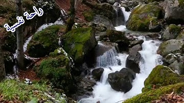 سورة مريم 🌺💞💛تلاوة خاشعة ارح سمعك واستمع للقرآن 🌺💛