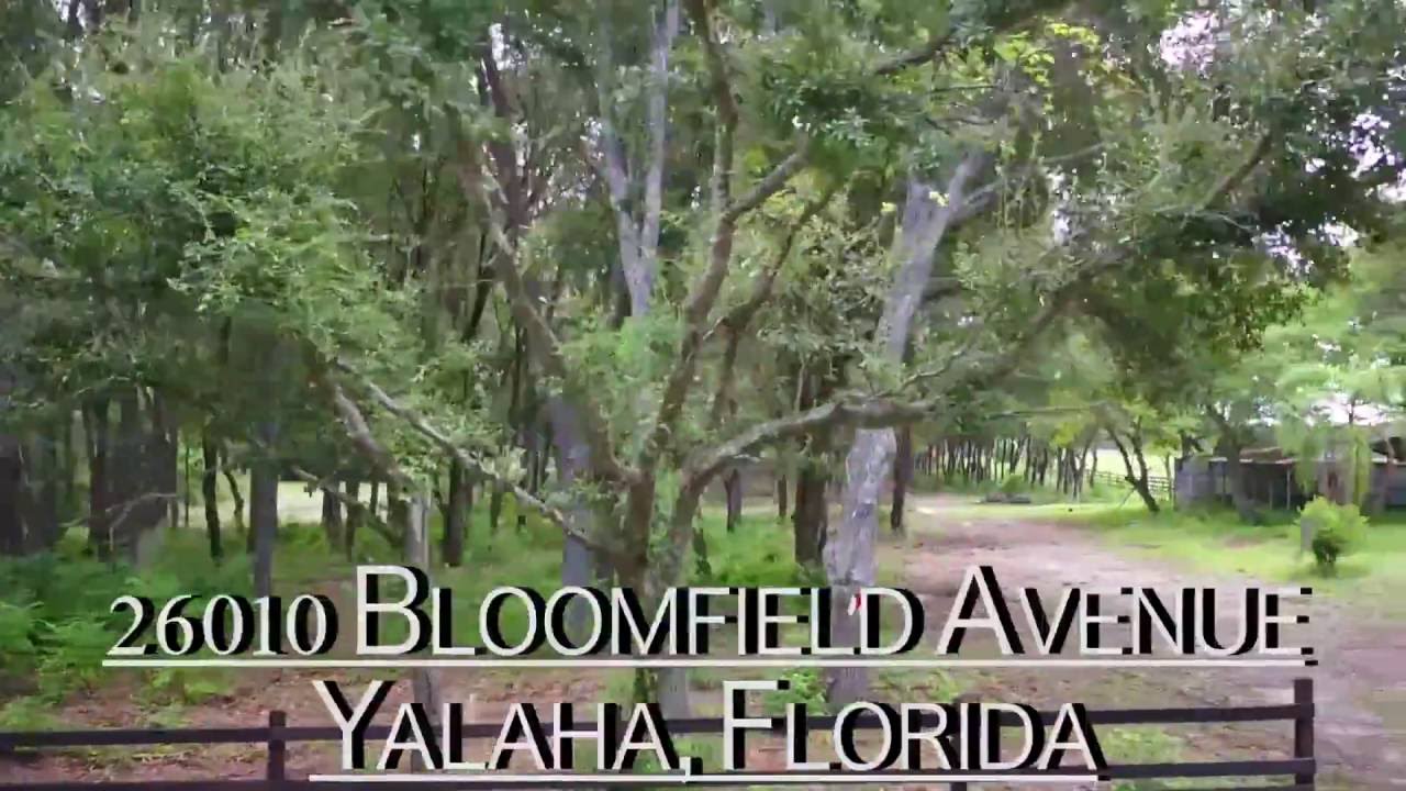 26010 Bloomfield Ave Yalaha, Florida 34797 YouTube
