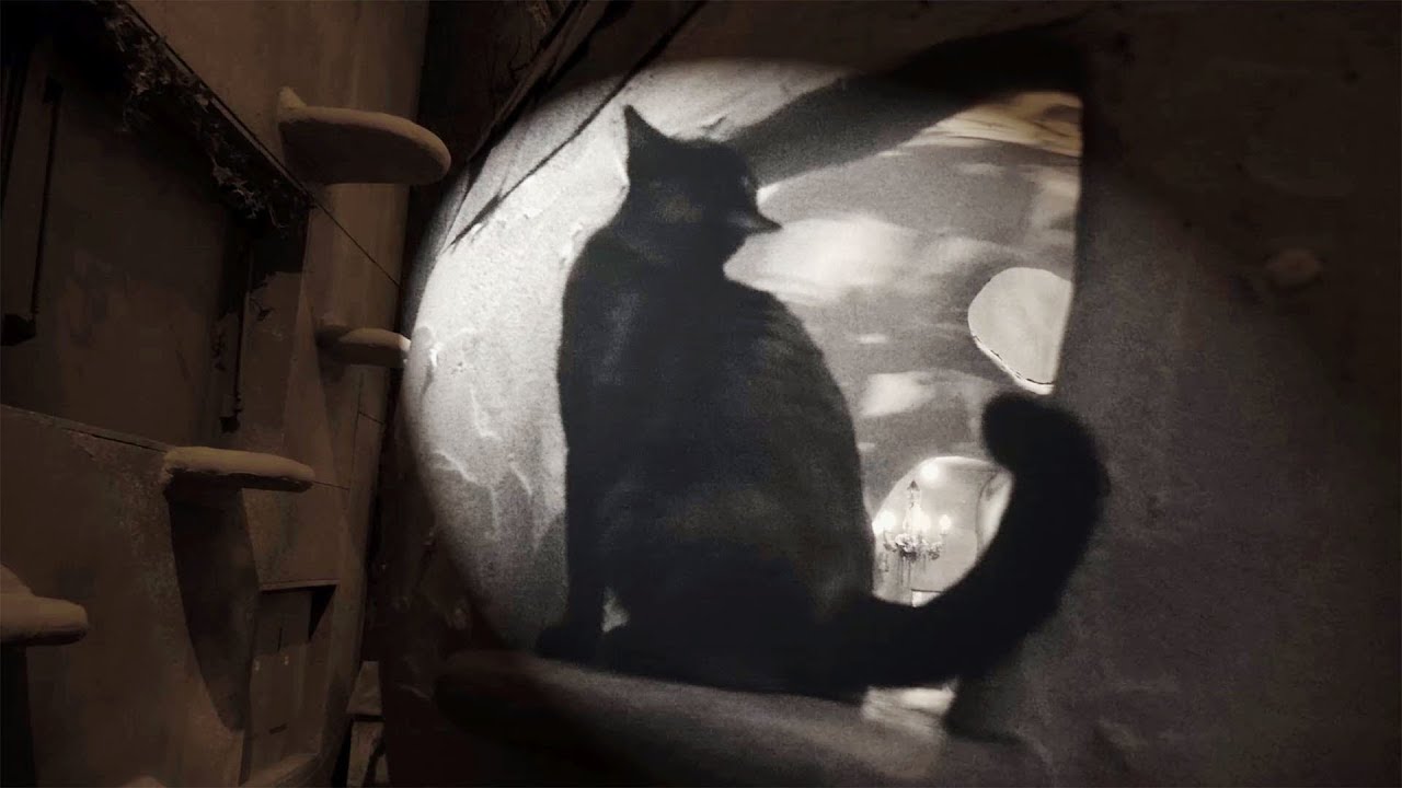 猫カフェ 横浜 猫カフェ 東京 吉祥寺 窓辺の黒猫ちゃん不思議なネコの森 ／ Cat cafe in Japan, Black cat of windowsills