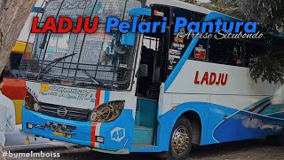 Pesona Bumel Mboiss! Ladju Pelari Pantura Artise Situbondo 🔥