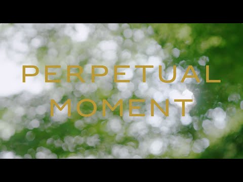 PERPETUAL MOMENT