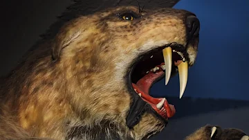 What killed the saber tooth tiger?