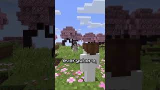 This mod gives you a wife
