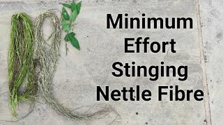 Minimum Effort Stinging Nettle Fibre
