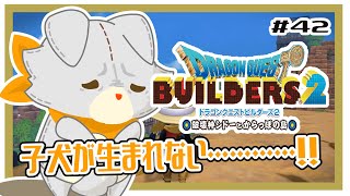 【ドラゴンクエストビルダーズ2】ぬいぐるみ久々にビルダーズ２やる！！#42 ※ネタバレ注意