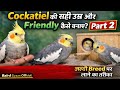 Cockatiel की सही उम्र, Friendly Training और Breeding का Scientific तरीका | पूरी Guide 2026 #birds
