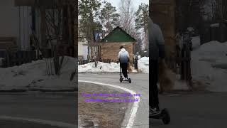 Джесси#шпиц #собака #друг#верныйдруг #собакиулыбаки