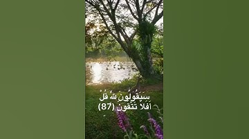 سورة المؤمنون - #ياسر_الدوسري #قرآن #سورة_المؤمنون