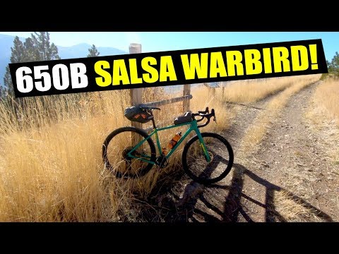 650b salsa warbird