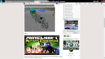 How to install Animation Player Model (Minecraft Forge)