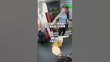 How Does a Blind Person Take the Subway? Follow This Man & His Guide Dog