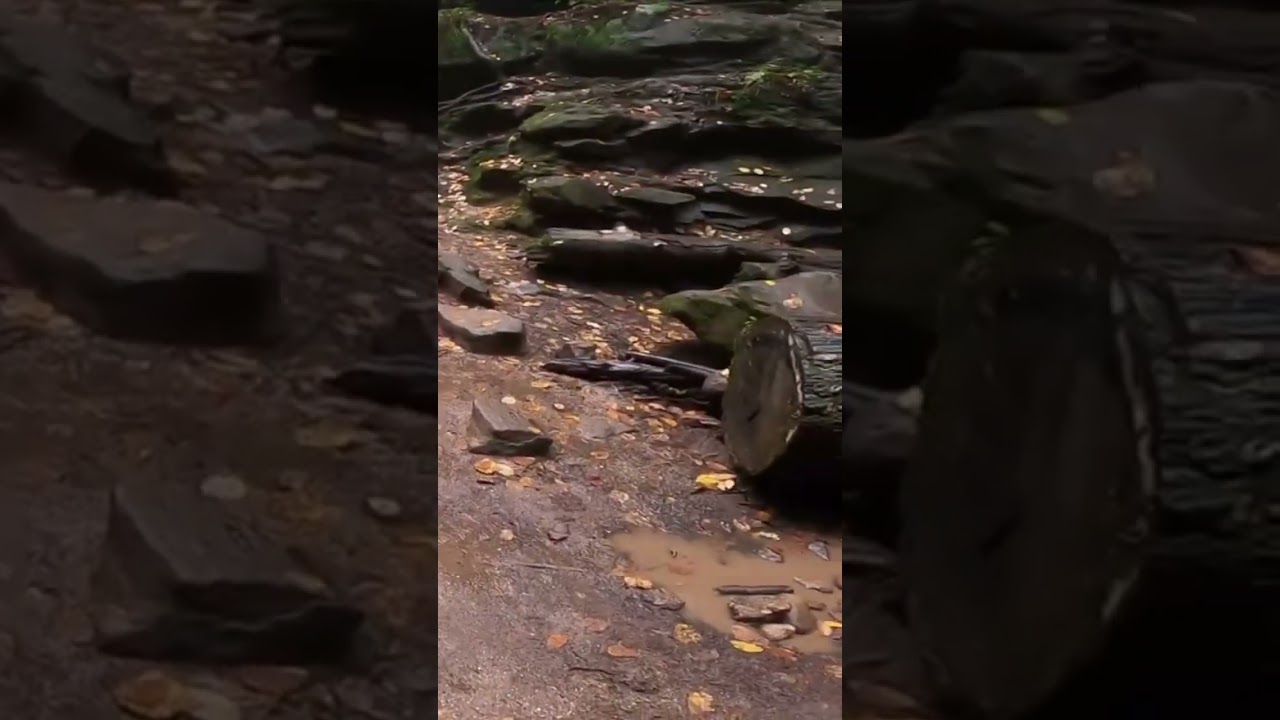 Conkles Hollow in Trails of Hocking Hills State Park