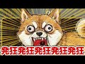 発狂のデカさで勝負する『ワンワンバトル』WWWWWWWW
