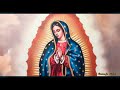 Homenaje a la Virgen de Guadalupe  ( México)