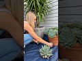 Minimaliat Corner Garden Design For Modern Homes