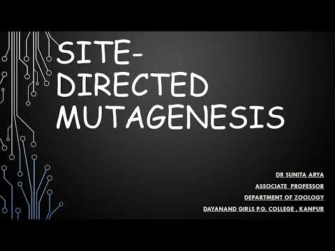 Site Directed Mutagenesis | Dr Sunita Arya