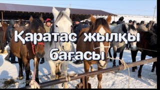 Қаратас жылқы бағалары, көкпар аттары, байтал, сауынды бие. Мал базар