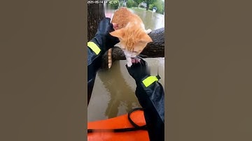 SECONDS FROM TRAGEDY... 😱