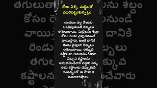 Sametha -60 Telugu Proverb With Explanation