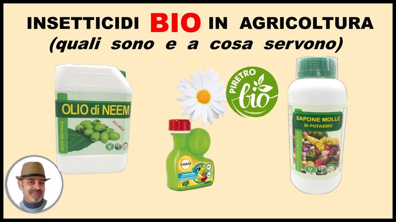 Sali Quaternari Di Ammonio In Agricoltura sqidwodd Sali Quaternari Di Ammonio In Agricoltura sqidwodd