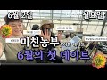 미친농부 라이브 방송