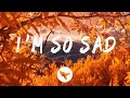 Miniature de la vidéo de la chanson I'm So Sad