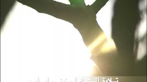 من سورة الإنسان | تلاوة الشيخ اجزوني ابراهيم