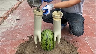 Awesome Cement Craft Tips - Flower pots Making Technique with Gloves, Watermelon, Towels and Cement