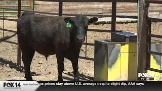 Ranchers react to livestock killings