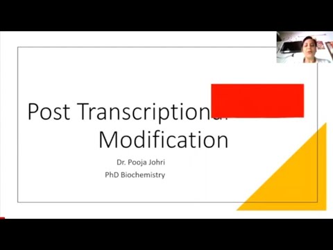 Post Transcriptional Modification of RNA