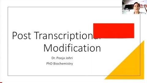 Post Transcriptional Modification of RNA