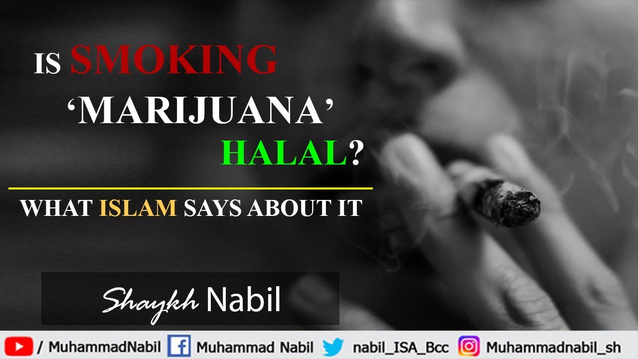 Is smoking Marijuana halal? Shaykh Nabil YouTube