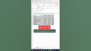How to use Auto format features in Ms Excel/Auto format features in Excel/#ELEducationLibrary#excel