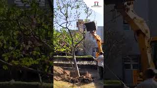 Tree Transplanting Rk University Campus Learning In The Lap Of Nature