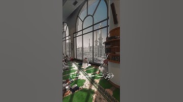 افلا ينظرون آلى الإبل كيف خلقت | سورة الغاشية | حالات واتس اب | القرآن الكريم .