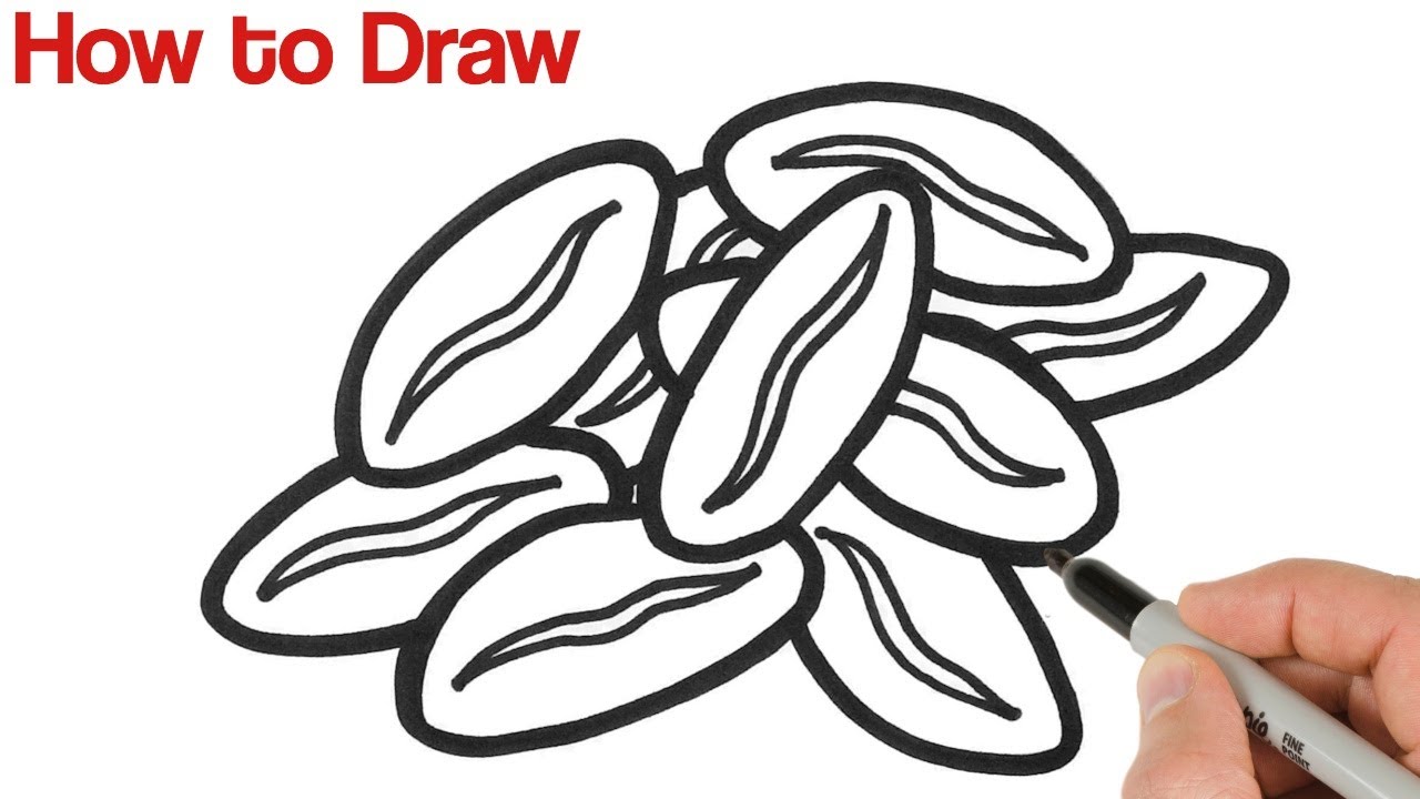 Pod Of Kidney Beans Seeds Isolated Legumes Sketch Stock Illustration -  Download Image Now - Bean, Kidney Bean, White Color - iStock