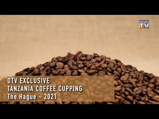 #DTV Exclusive - Tanzania Coffee Cupping, The Hague - 2021