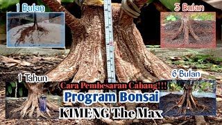 Di Asykin Saja 😀,Pemula Berharap Suatu Waktu Ikut Kontes ,Program The MAX (Cara Pembesaran Cabang)