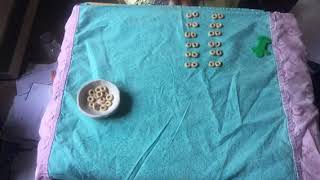 Munch munch math numbers under 30
