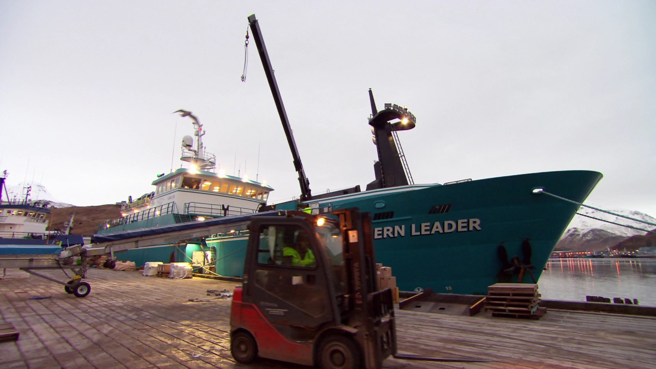 Northern Leader YouTube