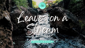 🧘🏻‍♀️ Leaves on a Stream Meditation 🍃 🌊